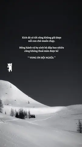 Gì chứ Vong Ơn Bội Nghĩa thì thua 🤷🏼 #bap0108 #capmatter #sttchat #TikTokAwardsVN2023 #foryou 