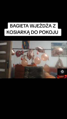 #shoty #bagieta #bagietamichael #dc #viral #viralvideo 