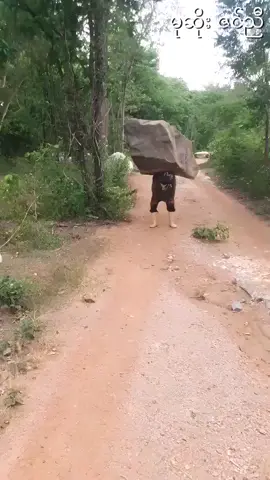 Man Carries A Huge Rock ｜｜ ViralHog