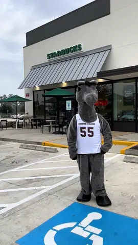 12 Days of Christmas. Day 1 Slater needs his holiday cup! #starbucks #slaterthestallion #stocktonjrhigh #mascot 