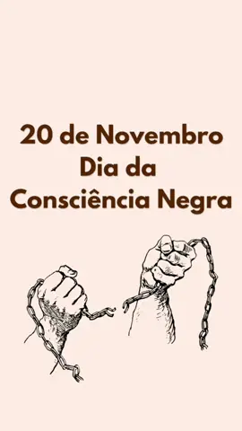 Dia da Consciência Negra (História) #efeitosdevoz #diadaconsciêncianegra #zumbidospalmares #historia #brasil 