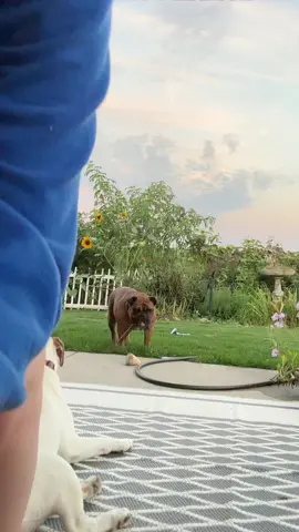 draft cleanout pt 2- i miss summer sooo much and my babies of course 🥹