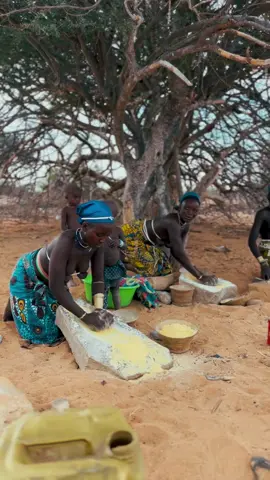 É desta forma que é feita a transformação de alguns cereais para se obter assim a farinha de milho, massango e massambala  que é um dos principais alimentos destes povos.  #Mucubaltribe #tribos #angola #brenoluckano #namibe #angolano #african #culture #africaculture #culturaafricana #namibdesert 