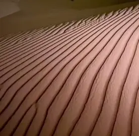 #بدر_الخالدي  #خوي_المطاليق 