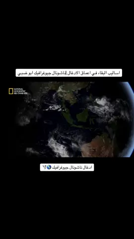 #غابات_افريقيا #الشامبانزي #اخطر_غابات_بالعالم #fyp #viral #anime #wow #غابات_الامازون #اكسبلورexplore 