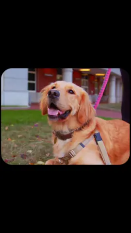 Thank you to Gus for making a cameo #cinematic #cinematicedit #cinematography #colorgrading #edit #film #northeastern #northeasternuniversity 