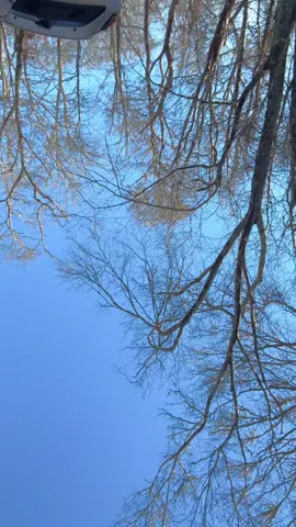 I should just wire this to the ignition at this point. #freezingweather #coldweather #homemadediesel #diesel #homemadefuel #biodiesel #wasteoil #wastemotoroil #usedmotoroil #12v #12valve #73idi #73powerstroke #ford73diesel  12 valve diesel Can you run a diesel on starting fluid Homemade diesel Running used motor oil in a diesel Starting fluid in a diesel