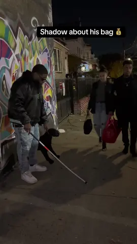 #jmassiah #shadowrelax #jmassiah90 #shadowthedog 