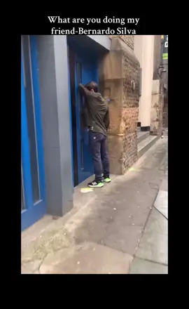 The fan should have been the one saying what are you doing my friend😂🐐🇵🇹#bernardosilva #mancity #fyp #viral #xyzbca 