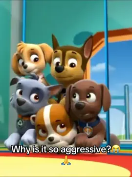 The elevator crashing is getting outta hand😭 #fyp #edits #pawpatroledits #pawpatrol #marshallpawpatrol #zumapawpatrol #rockypawpatrol #skyepawpatrol #chasepawpatrol #rubblepawpatrol 