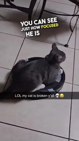This cat loves his new Roomba 😂 #catroomba #roomba #robotvaccuum #catrobotvacuum #funnycatvideos #cat #brennanrogers  🎥 (@8rlangx_ via @collab)