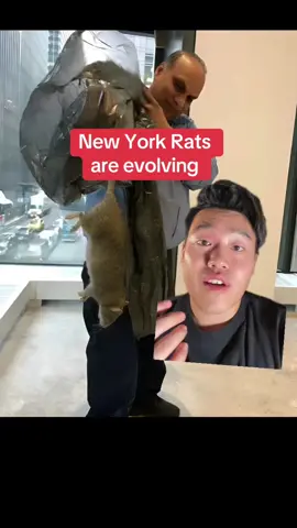 Where my rats at? #greenscreen #rats #newyorkcity #pokemom 