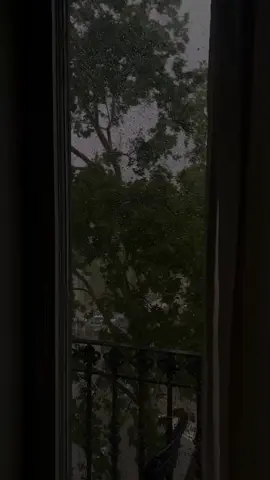 #sueltamimano #sinbandera #canciones #parati #fypシ゚viral #song #fypシ #musica #sweetmelody #music #viral #rain #lluvia @Sin Bandera 