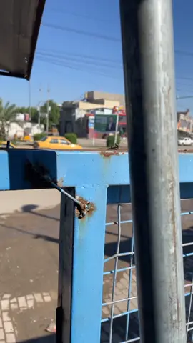 #مقاطعون #الشعب_الصيني_ماله_حل😂😂 #بغداد #مدينه #الصدر 