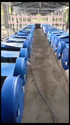 Info Pemesan bibit Belut, Langsung aja hubungi Kemari ya Bos q Hp/Wa 0822 8323 4004 #usahawanmuda #usaharumahan #usahamenjanjikan  #bisnisviral #kuansing #talukkuantan #pekanbaru_riau #sentralbibitbelut #zahwafarm #beraniberesiko👍 #proyekketahananpangan #bibitbelut #belutsawah #belutbabon #budidayabelut #penyimpanan belut dalam kulkas #budidayabelutindonesia #jualbibitbelut #bibitbelutpekanbaru #bibitbelutmedan #belutpadang #jual bibit belut kendal #belutjambi #mancingbelut #belut 