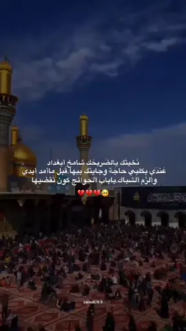 ياباب ألحَوائج حاجَتي يَمك عَليك أقسم بضلع ألطاهرة أُمك #ياباب_الحوائج #ياصاحب_الزمان #fyp 