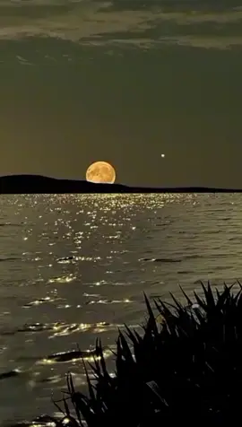 te he perdido #salsabaulvenezuela🇻🇪🔊 #salsacomercial #viral #parati #fypシ #dedicada #salsaromantica #salsabaul #estadowhatsapp #teheperdido #djignato 