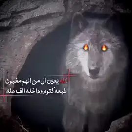 #حالات_طناخه 🔥 #حالات_استوري_واتس_اب 