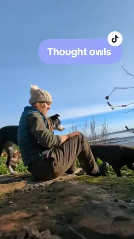 Very philosophical for a Tuesday 🫠 #farmlife #agrilifestyle #farming #womaninag #agrilass #MentalHealth #farmersmentalhealth 