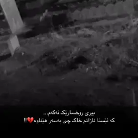 Xozga Estaka lera dabuy Baba✨