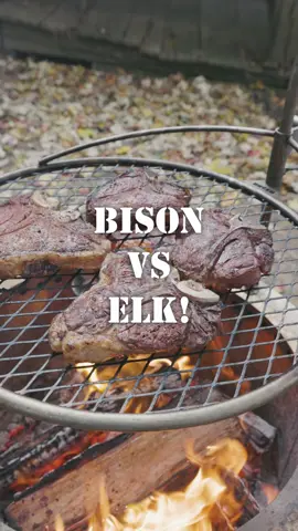 Now Live on our YouTube Channel: Bison vs. Elk: The Ultimate Porterhouse Steak Showdown 🥩🔥 Watch it now! Find the link in our bio👆 #foryou #fyp #butcher #butchering #steak #bison #elk #thebeardedbutchers #youtube #cook #grill #grilling #video