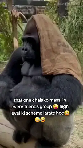 #duet with @Animals World 6301 #Animals 😜🤪#foryou #ayzelayza 