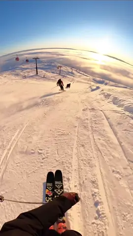 Friends and ski 🥶 #ski #snow #freeride 