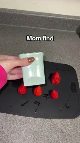 I used to hate cutting fruit before i found this 😂 #momlife #momtok #momproblems #MomsofTikTok #momhacks #firsttimemom #momtipsandtricks #momfind #toddlermusthaves 