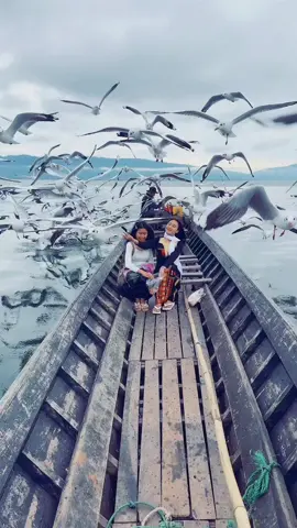 ကချင်ပြည်နယ်အလှ#အင်းတော်ကြီး #ရွှေမဉ္ဇူဘုရား 🙏🙏🙏