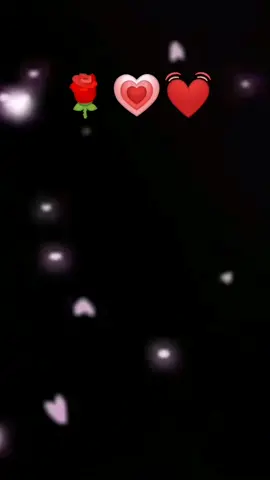 #CapCut #exelentenoche #exelentecancion#aquienseladedicarias#💓💓💓💓💓💓💓💓💗💗💗💗#🌹🌹🌹🌹🌹 