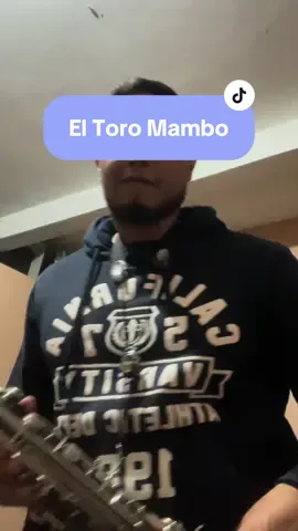 El Toro Mambo Solo #toromambo #shorts #sax #huapango #merequetengue #losbagar 