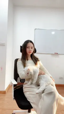 Ghế văn phòng công thái học Avohome ngả bập bênh tựa cổ mang lại cảm giác thoải mái