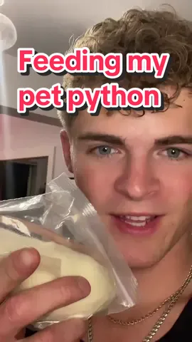 Time to feed my pet python…farwell remi 🐀 👨‍🍳 