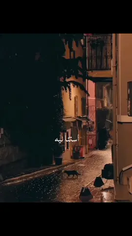 ادم