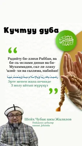 Пайдалуу дубалар #пайдалуудубалар#дуба #чубакажы#кыргызча #пайдалуудуа 