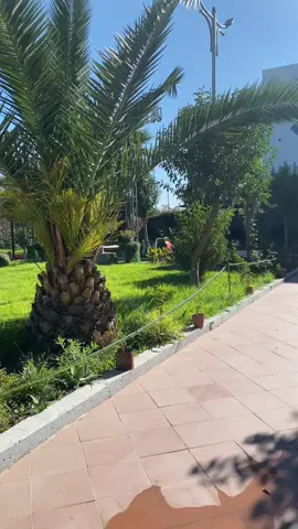 #setif #marina 
