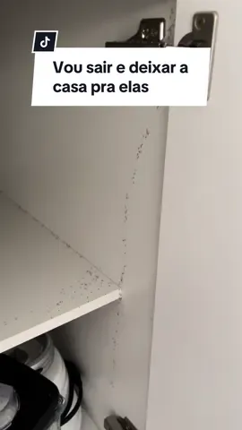 Nem as tomadas da cozinha escaparam 😐