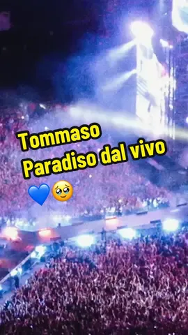 Il TOMMY TOUR di Tommaso Paradiso ci fa sentire meno soli 🥹💙 #tiktokmusica #tommasoparadiso #blughiacciotravolgente #concerto #semsazionestupenda 