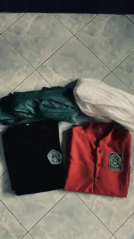 bahan swmu cak#pagarnusa86 #gasmilirboyo #ipsi #pencaksilat #pencakdor 1986 #selebgrampagarnusa💚 #bahanswmu #foryoupage #masukberanda #storywa #fyp 