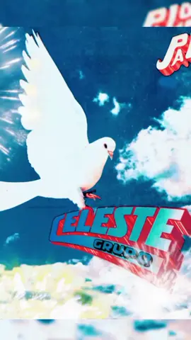 Respuesta a @user7126919908386 #grupoceleste #Cumbia #peru🇵🇪 #chicheras_de_corazón🎶💖😎 #chicheros_de_corazón #chicha #chacalonylanuevacrema #lima 
