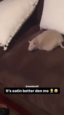 Vlog of a day in my life without my patek 💔😪 ( compilation of my videos part 63 )