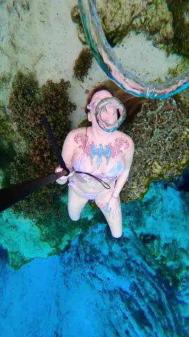 Bubble rings ! I have so many videos I’ve been shooting over the last two months that I haven’t posted yet ☺️ excited to share them with you !!! More underwater videos on my link 💘