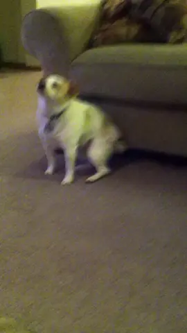 orang lombok pasti tau arti dari soud ini#lomboktimur🌴🏝lombokkk #lombokutara #lombokbarat #lomboktengah kumpul anehhh😁