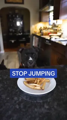 🐾 Is Your Dog A Jumper? 🐶 Here’s Why: ➡️ They Don’t Understand ‘Off’: Dogs might not get what ‘Off’ or ‘No’ means, and sometimes, they confuse ‘Off’ with jumping. ➡️ Attention Reinforces Jumping: When we react to their jumping, it actually encourages them to do it more! It’s like saying, “Keep going!” ➡️ Counters Are More Exciting: The ground might seem dull, but counters are a treasure trove of excitement for your pup. How to Teach Off: ➡️ Guide them up somewhere, then lure them down with treats, saying ‘off’ as they touch the ground. ➡️ Practice consistently for at least a week before using the command regularly. Dealing with Jumping: ➡️ During greetings, cover your face if they jump, wait for them to be calm before reconnecting. ➡️ If they jump on counters, stay composed, gently redirect them or move the tempting object away. 🌟 Making the Floor Fun: Encourage them to enjoy the floor with engaging toys, foraging mats, or a fun ‘find it’ game with treats. 💁🏼‍♀️🐶Follow me for more training tips, tricks and games. Leave your questions in the comments!  — #dogtrainer  #DogTraining  #dogtrainingtips #dogbehavior #fyp 