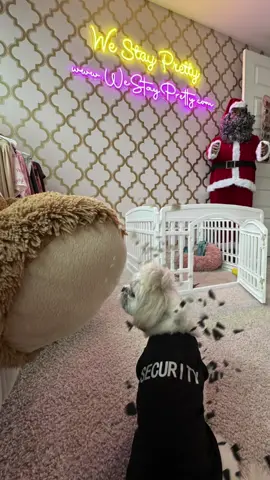 Jolie said HELLO HELLO WeStayPretty.com 