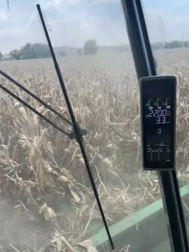 Trilla de Maiz Dekalb 2037 16 Ton/Ha#trilladoras #trilladoras #johndeere 