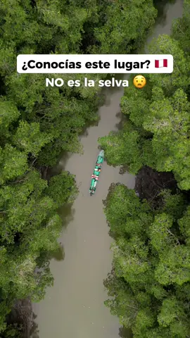 🇵🇪 Perú no deja de sorprendernos y esta vez conocimos un lugar increíble en Tumbes: El Santuario Nacional los Manglares de Tumbes 🙌 Un lugar para disfrutar de la naturaleza, pero sobre todo para aprender de conservación. En esta área nacional protegida administrada por el @Sernanp Oficial puedes tener un paseo en bote super relajante, paisajes increíbles y terminar el día en una isla solo para ti 🏝 es un plan que no te puedes perder en tu próxima visita al norte 🤙. . . . . . #peru #visitperu #perutravel #discoverperu #tumbes #norteperuano #manglaresdetumbes