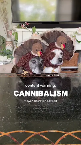 Resharing for thanksgiving! Do turkeys eat turkeys 🤨🦃 #crochetersoftiktok #tiktokdogs #doglovers #crochettok #foryou #thanksgiving #crochet 