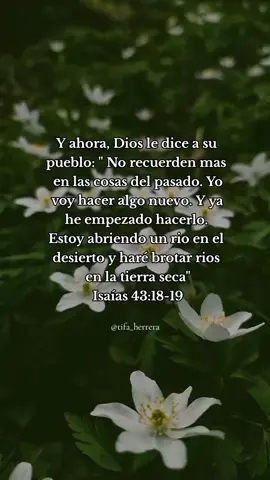 ¡Dios hará todo nuevo! Confía en el proceso🤍 #jesus #jovenescristianos #reflexion #viraltiktok #yeshua #viral  #godisgood #fypシ #sunset 