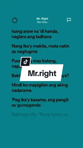 Mr.right-kim chiu #spotify #songlyrics #fypsounds #fyp #foryourpage #lovemusic 